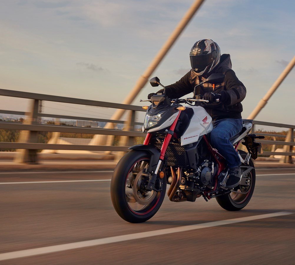 pacha concessiopnnaire